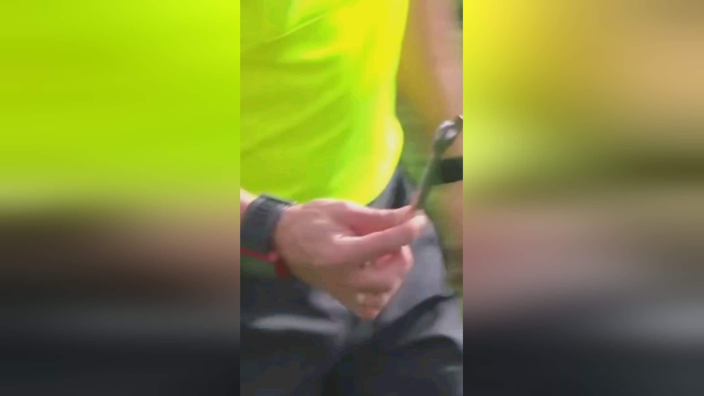 球迷和专